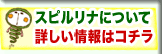 もっと詳しい情報ページへ